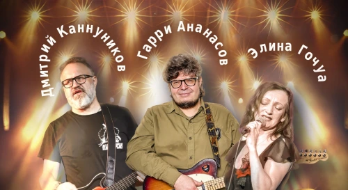 Постер Гарри Ананасов, Дмитрий Канунников и Элина Гочуа Постер Гарри Ананасов, Дмитрий Канунников и Элина Гочуа