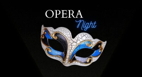 Постер OPERA NIGHT во дворике Д30
