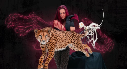 Постер Маргарита Чайка. Изнанка таксидермии.