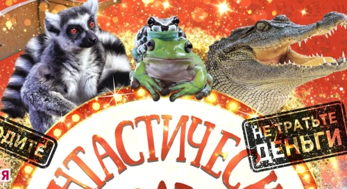 Постер Выставка Фантастические Твари г. Оренбург