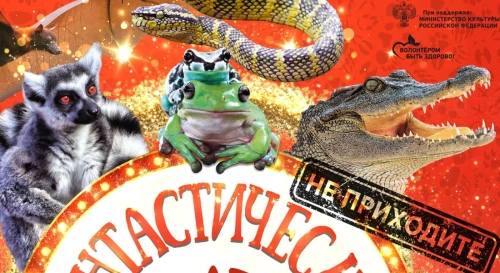 Постер Зоотеатр Фантастические твари
