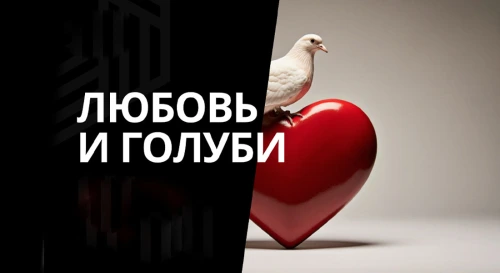 Постер Любовь и голуби