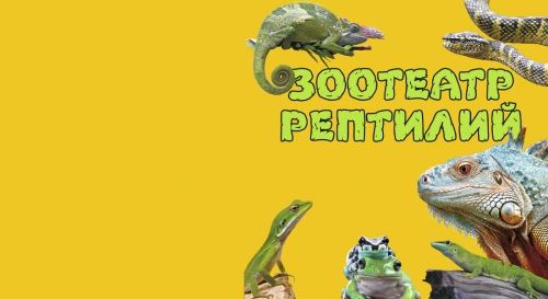Постер Зоотеатр  Рептилий в Твери